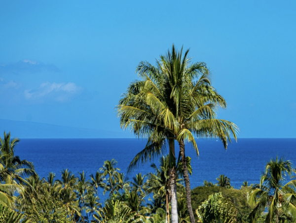 Spacious Wailea Oasis Near Beaches, Golf, and Island Adventures