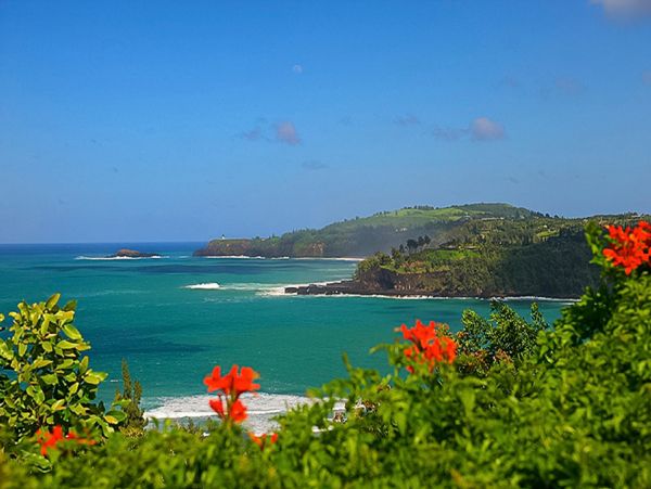 Ocean View Vacation Home in Kilauea with Pool & SPA