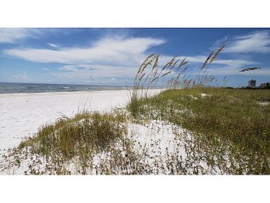 Siesta Key Vacation Rental Home Three Bedroom
