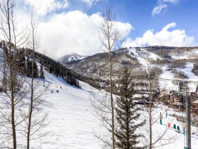 Beaver Creek Luxury Vacation Rental Home Four Bedrooms