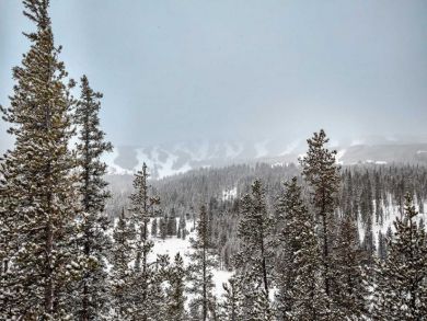 Breckenridge Luxury 4 Bedroom Home with Mountain View