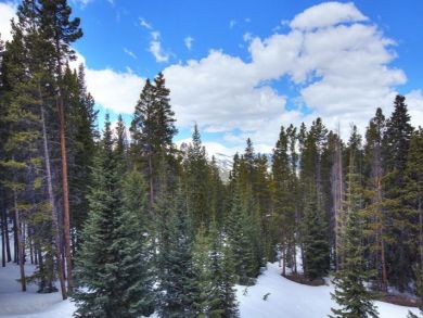 A True Ski Cabin Breckenridge
