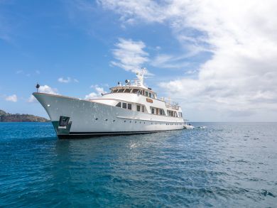 Luxury World Class Yacht with Five State Rooms and Crew