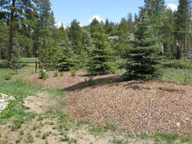 Breckenridge Vacation Home Sleeps Fifteen Guests.
