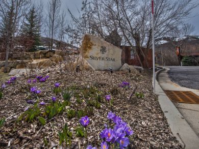 Park City Deer Valley Canyons Resort Home 922690
