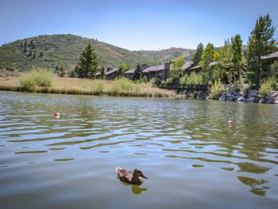 Park City Deer Valley Canyons Resort Condo 922744 Park City Deer Valley Canyons Resort Condo 922744