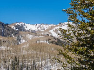 Park City Deer Valley Canyons Resort Home 922937
