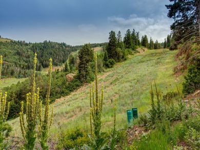 Park City Deer Valley Canyons Resort Home 922938 Park City Deer Valley Canyons Resort Home 922938