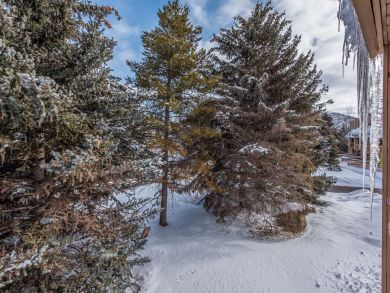 Park City Deer Valley Canyons Resort Condo 922989
