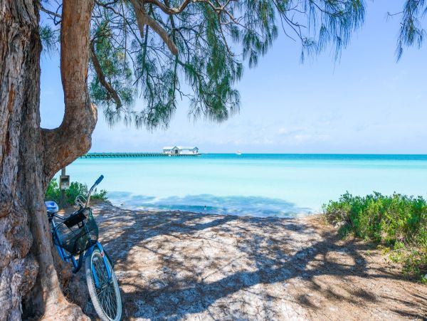 Anna Maria Island Vacation Rental - Beach Condo with Pool & Bay Access