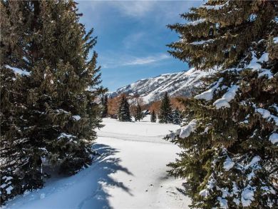 Park City Deer Valley Canyons Resort Home 923463