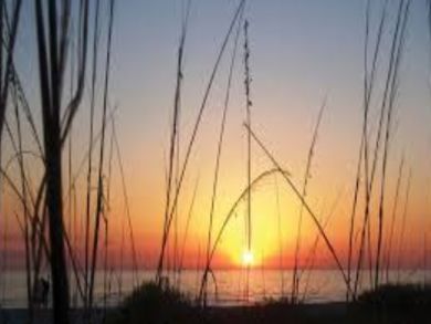 Longboat Key Vacation Condo Sleeps Four Guests Longboat Key Vacation Condo Sleeps Four Guests