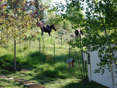 Park City Deer Valley Canyons Resort Home 923887 Park City Deer Valley Canyons Resort Home 923887
