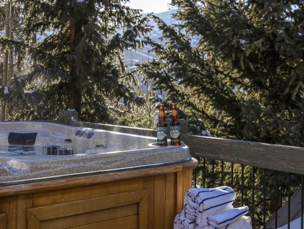 Breckenridge Ski  Vacation Home Sleeps Sixteen Guests