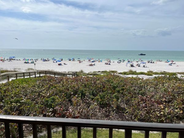 Experience Beachfront Living on Marco Island