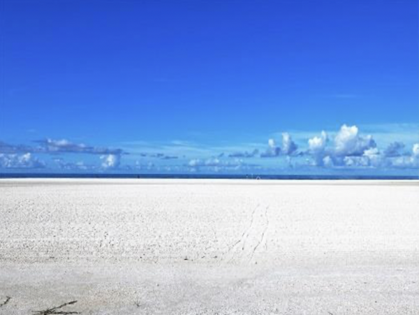 Marco Island Beachfront Vacation Condo WOW!
