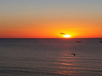 Marco Island Condo 923998