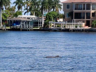 Marco Island Condo 924007