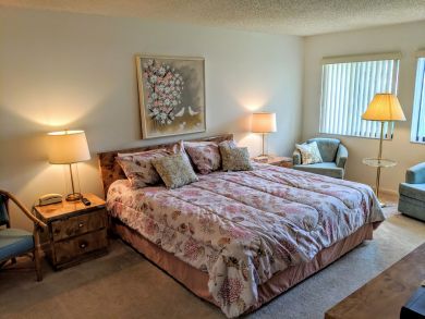 Sarasota Condo 924010