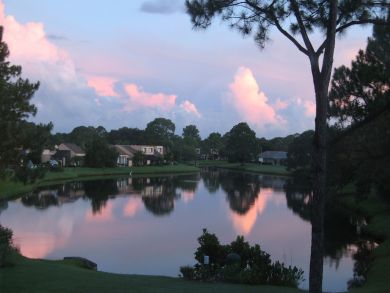 Sarasota Condo 924015