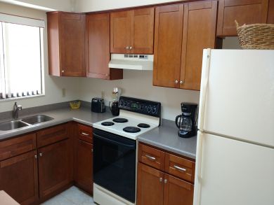 Sarasota Condo 924021