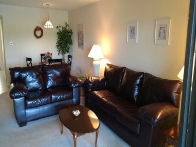 Sarasota Condo 924021