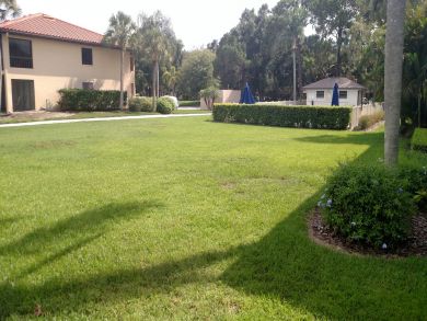 Sarasota Condo 924024