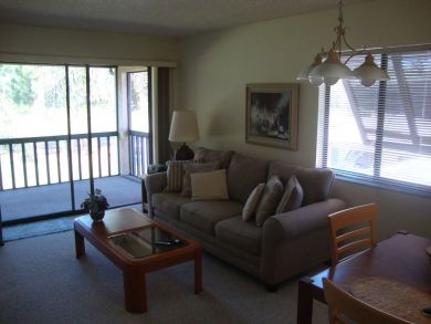 Sarasota Condo 924025