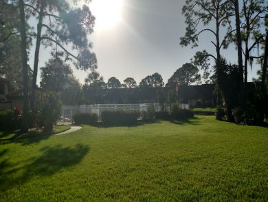 Sarasota Condo 924039