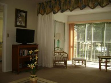 Sarasota Condo 924047