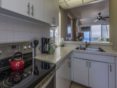 Kapalua Vacation Condo Sleeps Two Guests