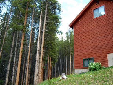 Breckenridge Home 924119