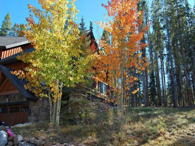 Breckenridge Home 924122 Breckenridge Home 924122