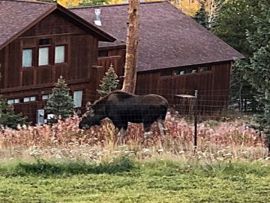 Breckenridge Home 924136