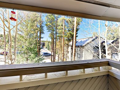 Breckenridge Condo 924145