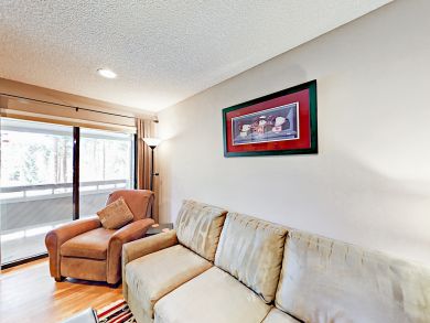 Breckenridge Condo 924145
