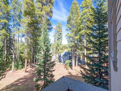 Breckenridge Condo 924149