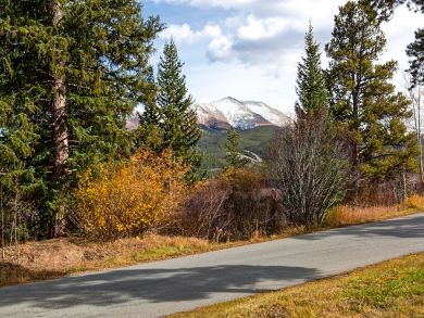 Breckenridge Condo 924149