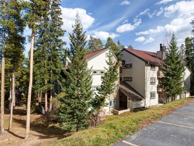 Breckenridge Condo 924149