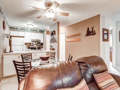 Breckenridge Condo 924155