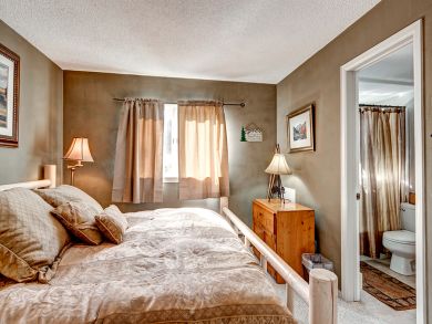 Breckenridge Condo 924155