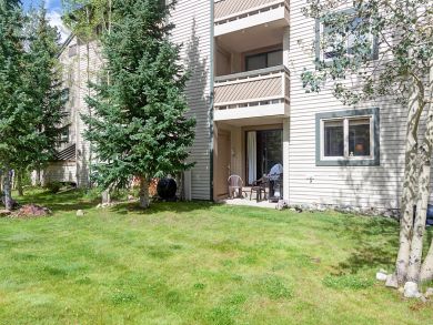 Breckenridge Condo 924155