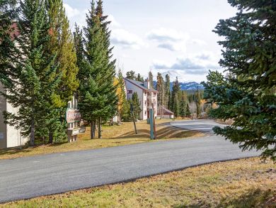 Breckenridge Condo 924155