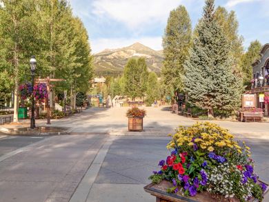 Breckenridge Condo 924155