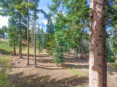 Breckenridge Condo 924155