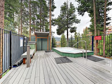 Breckenridge Condo 924156