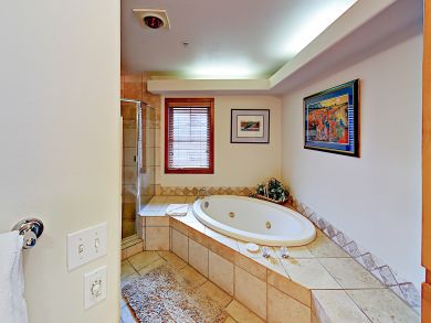 Breckenridge Condo 924156