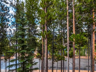 Breckenridge Condo 924156