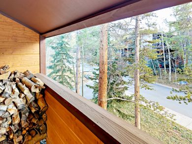 Breckenridge Condo 924163