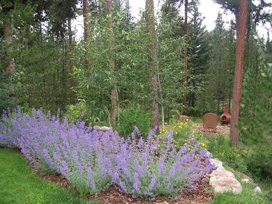 Breckenridge Home 924167